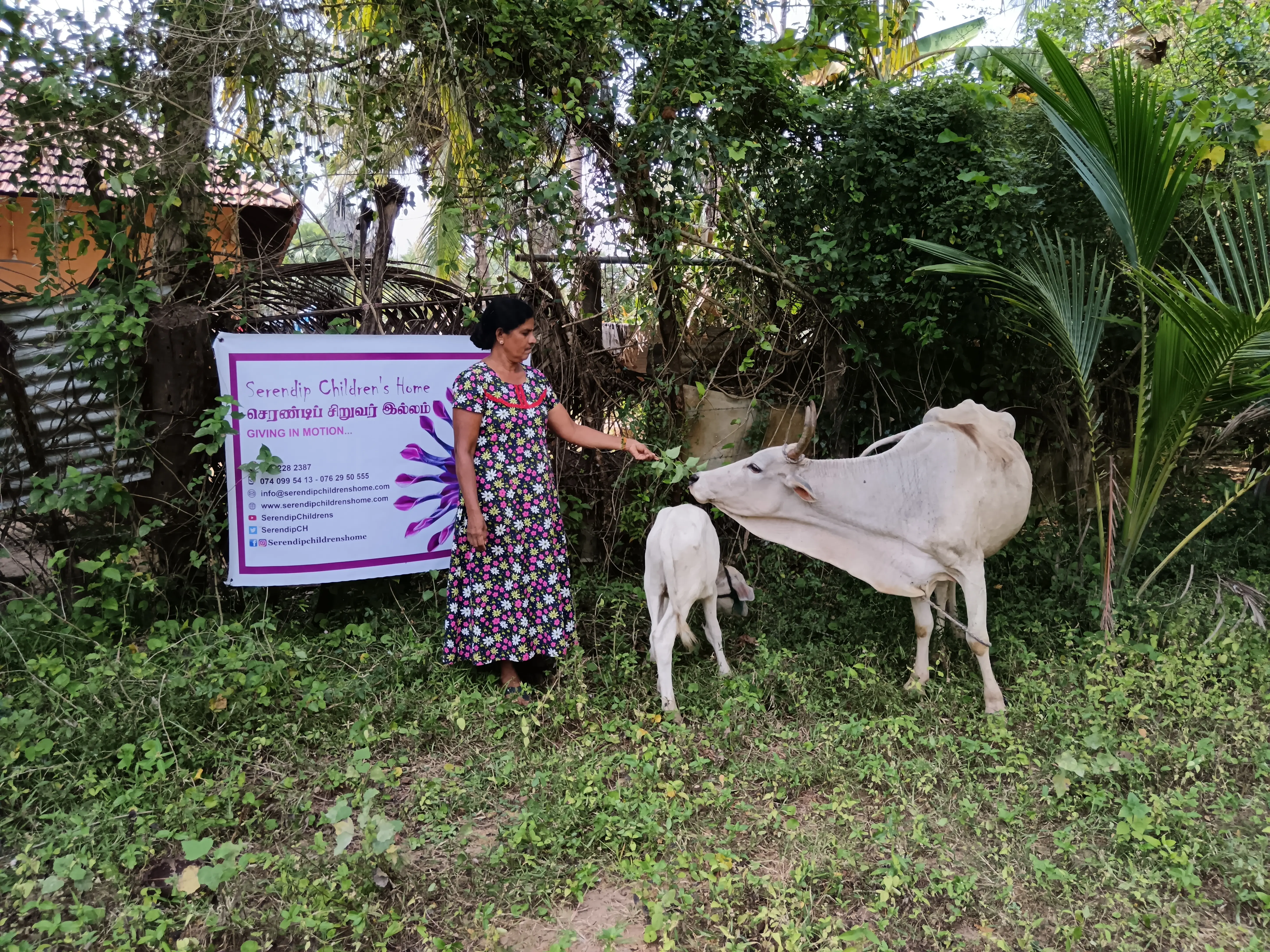 Women’s Livelihood Programme